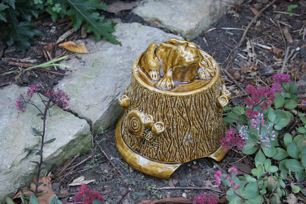 Toad House