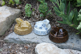 Garden Frog